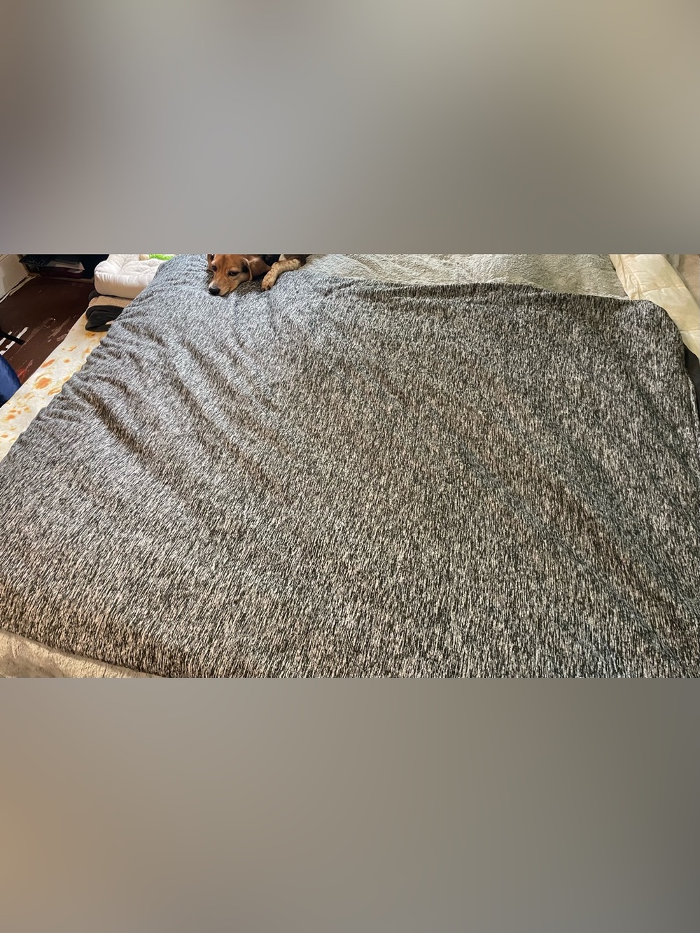 Weighted trow blanket with removable cover